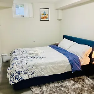 Vj Toronto